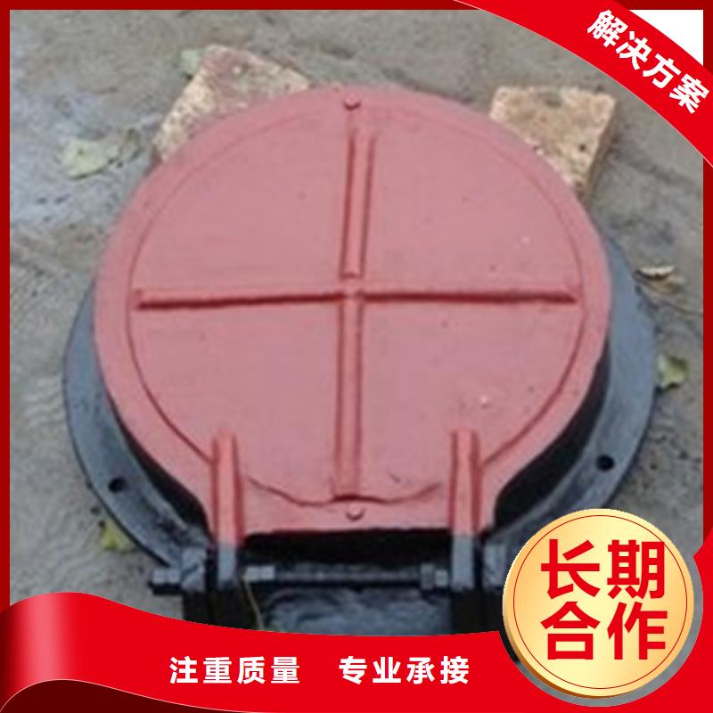 側翻式單開不銹鋼拍門
