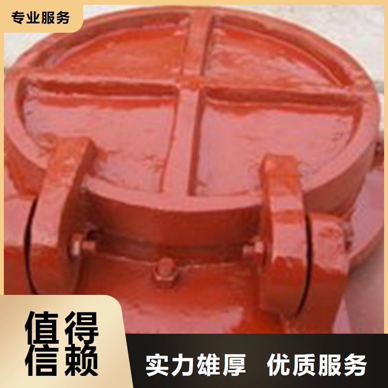 平板式鋼制拍門售后無憂大廠