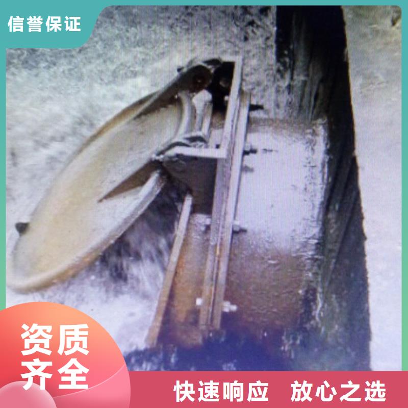 丹鳳縣拍門價(jià)格多少