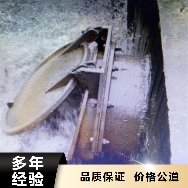 鑄鐵拍門低價保真