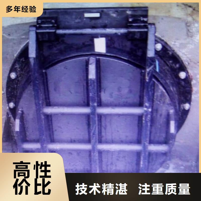 可信賴的雙開扇玻璃鋼拍門生產廠家