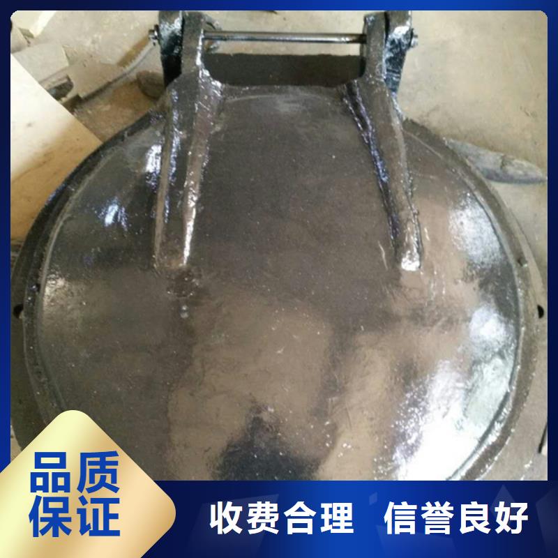 方形雙開拍門PM-拍門-供應(yīng)廠家