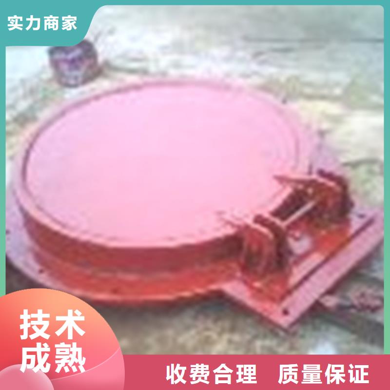 浮箱式鑄鐵拍門
