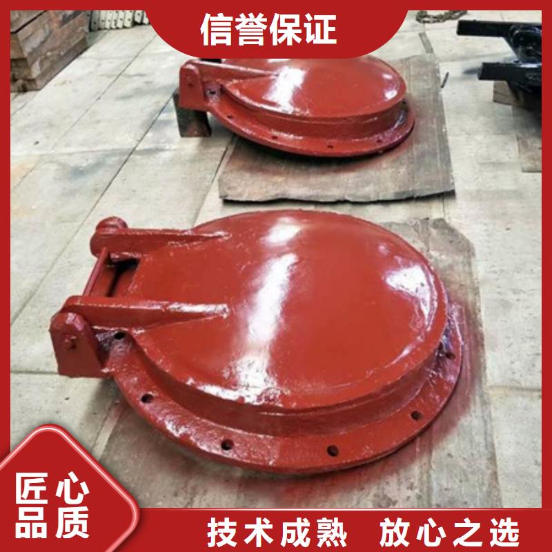 價格合理的大型拍門公司