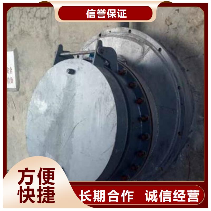 DN800鑄鐵拍門