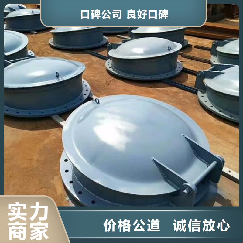 生產(chǎn)600鑄鐵拍門_誠信企業(yè)