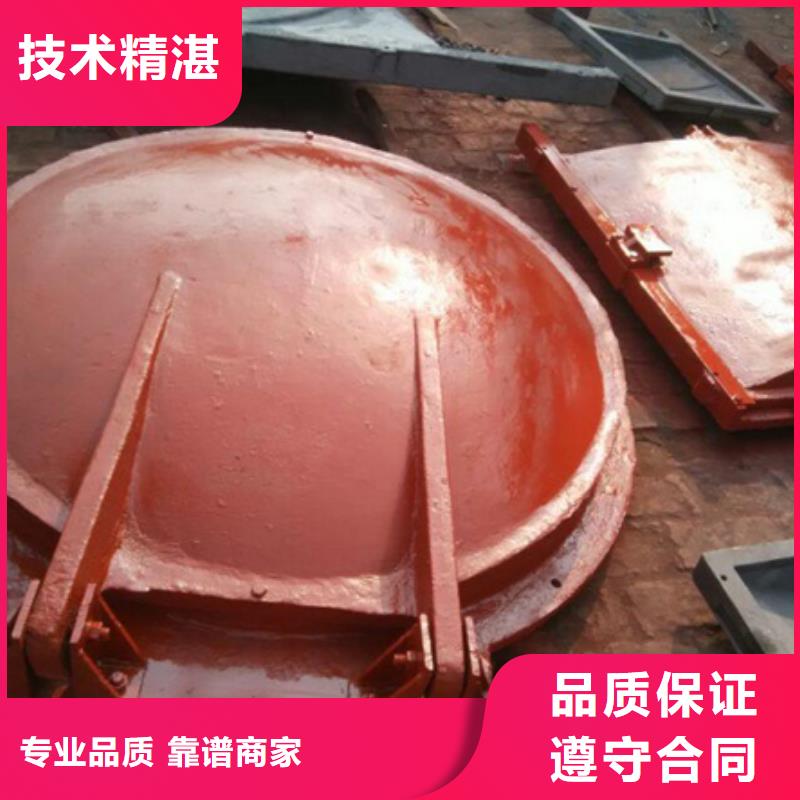 拍門閘門品牌廠家-買著放心
