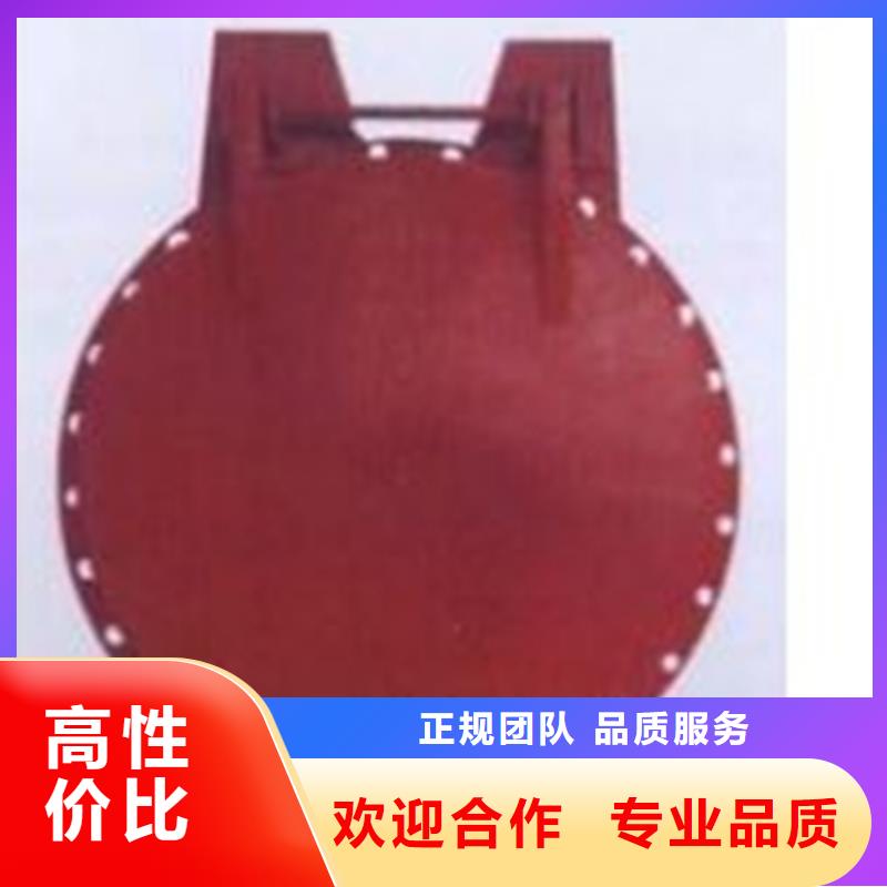 dn1000鑄鐵拍門_多年生產經驗
