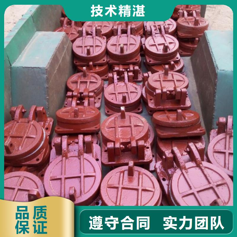 批發拍門閘門_品牌廠家