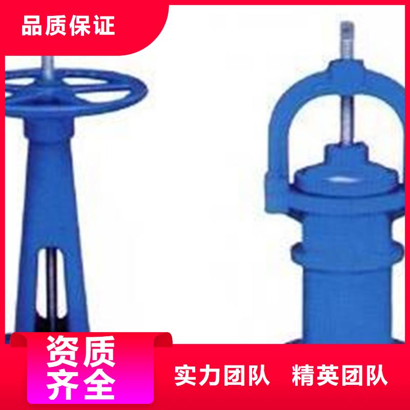 供应20T手电两用启闭机认准瑞鑫启闭机铸铁闸门清污机钢闸门拍门水工机械厂