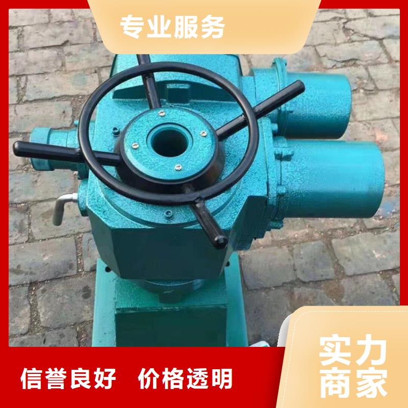 啟閉機閘門5T直聯(lián)式啟閉機耐用可靠