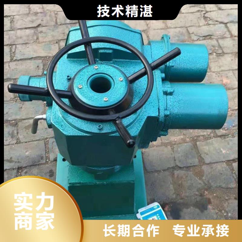 卷揚啟閉機啟閉機螺桿耐用可靠