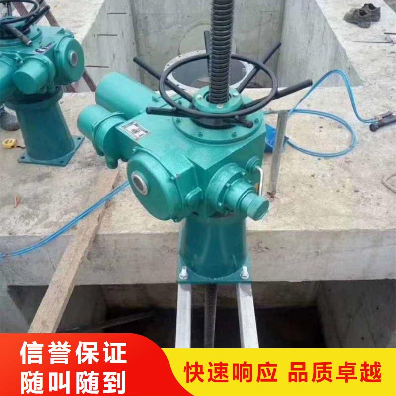 鑄鐵閘門啟閉機售價售價
