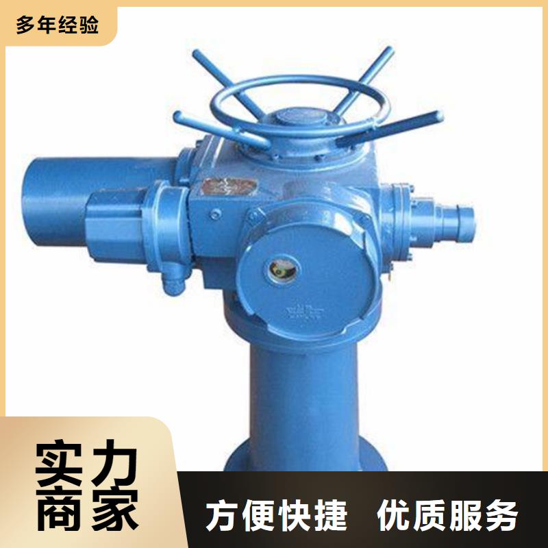 2025價格優惠#5t手搖啟閉機#本地廠家