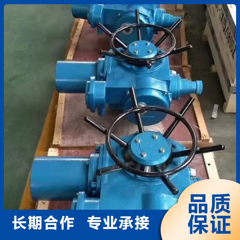 卷揚啟閉機快速螺桿式啟閉機本地廠家