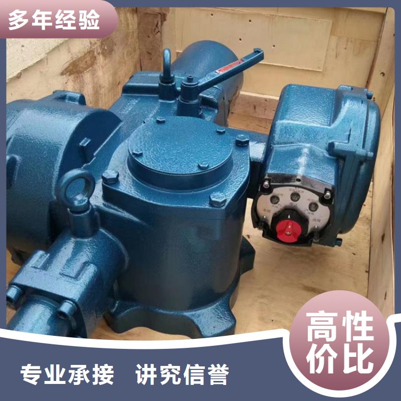 卷扬启闭机100kn启闭机自动化控制，省时省力