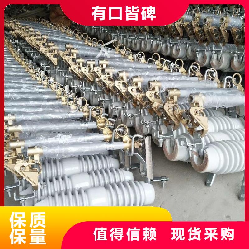 高壓熔斷器/HPRW12-10KV/100A
