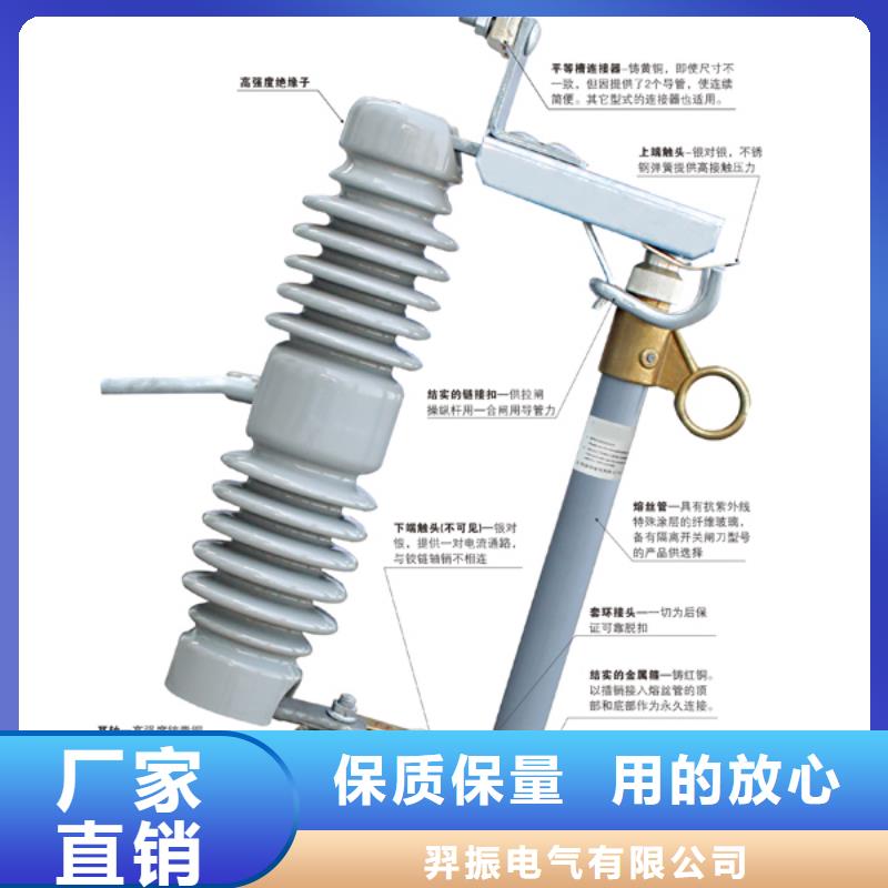 【跌落式熔斷器】RW11-12F/200A