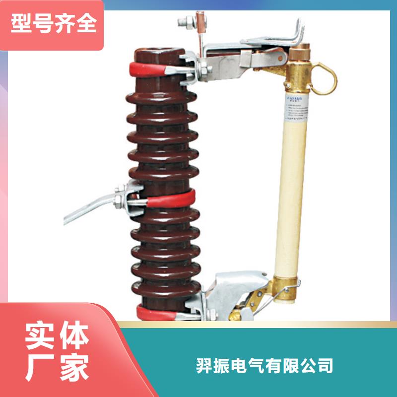 跌落式熔斷器RW11F-12/200A