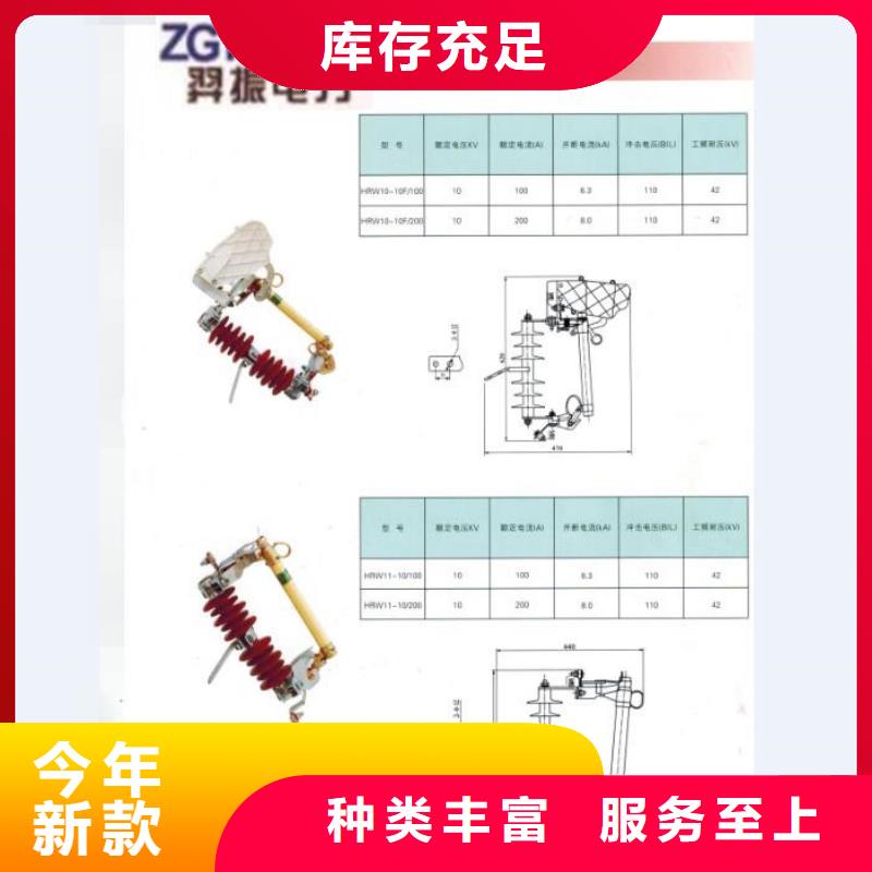 熔斷器高壓真空斷路器優選貨源