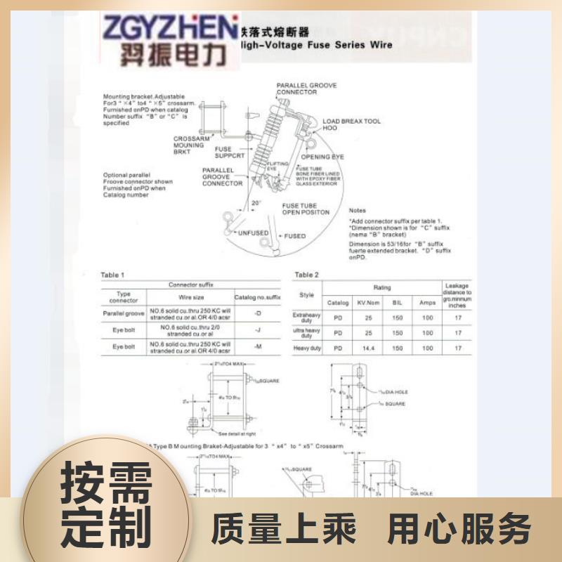 跌落式熔斷器PRWG1-12-100A