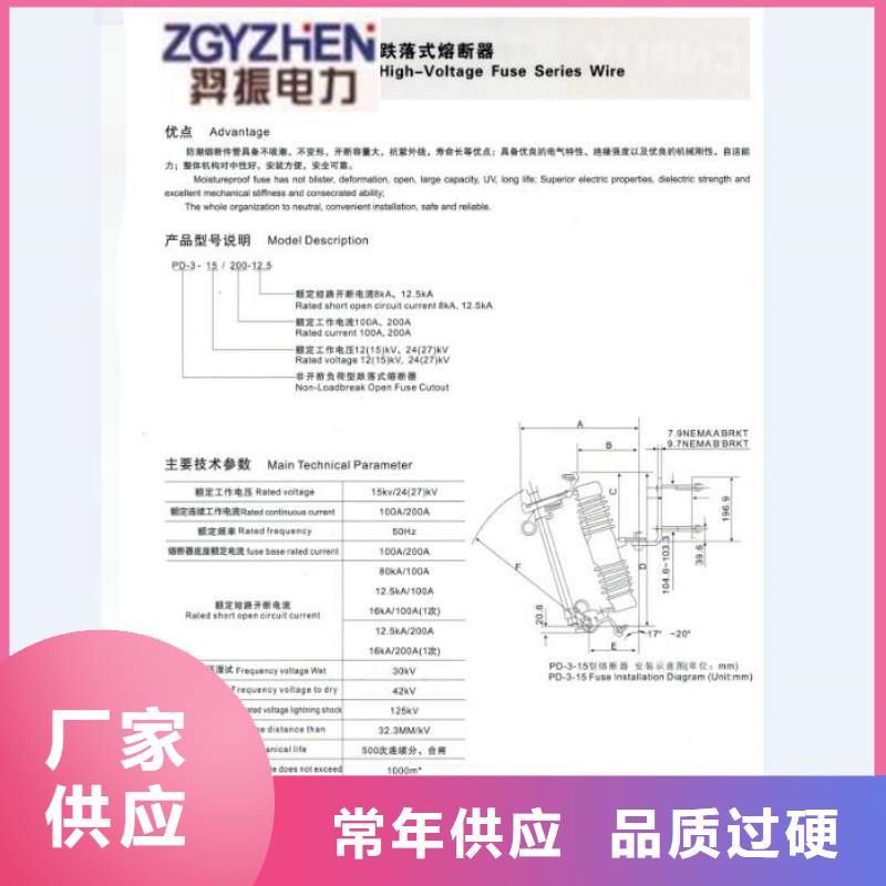 交流熔斷器/AC20kV/100A/跌落式/瓷質