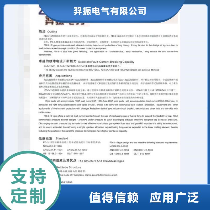 -戶外高壓交流跌落式熔斷器HRW12-10F-200A