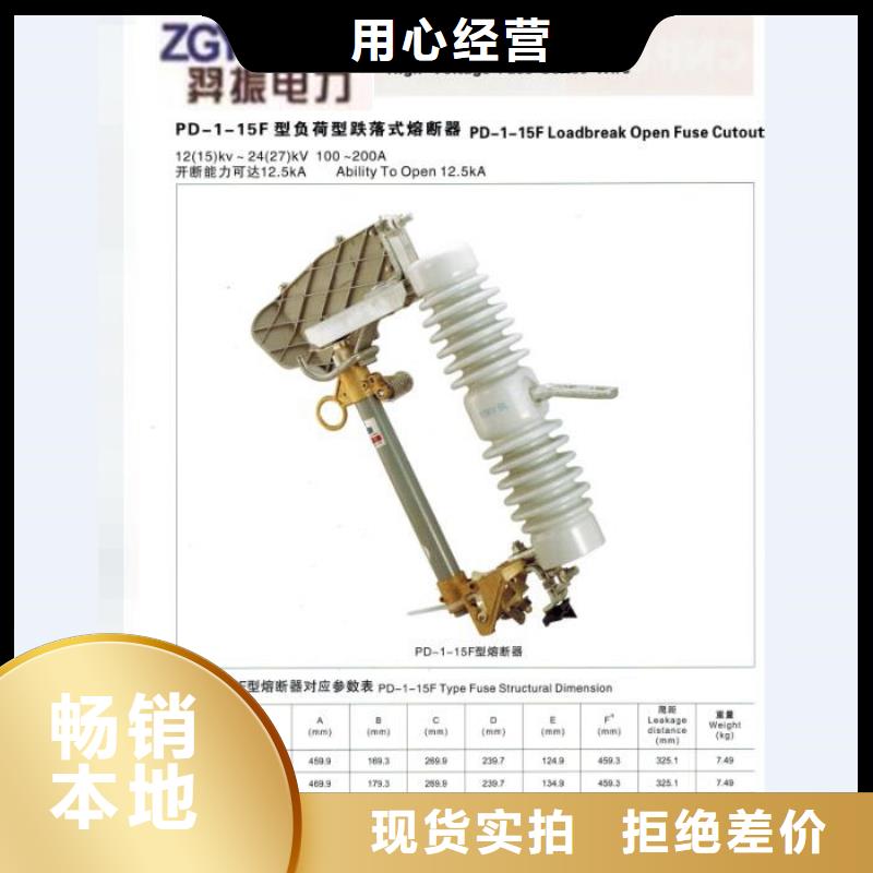 高壓熔斷器/35kV高壓跌落式熔斷器RTF13