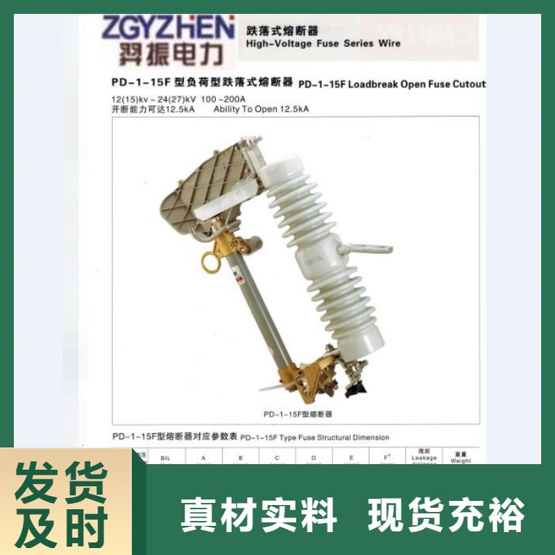 高壓熔斷器/RW3-63G
