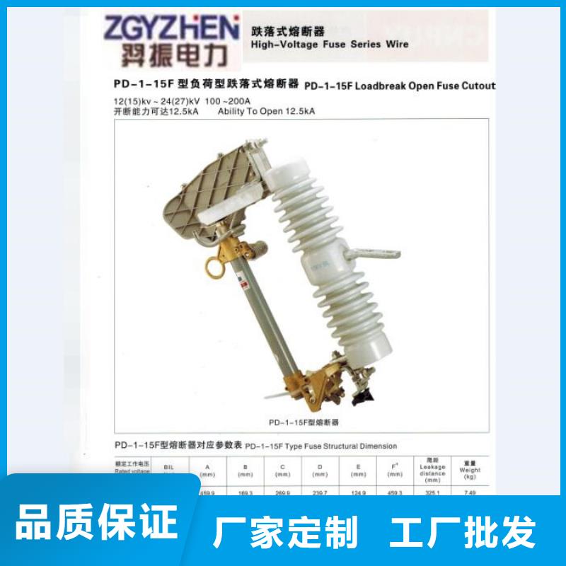 熔断器双电源真空断路器实体厂家