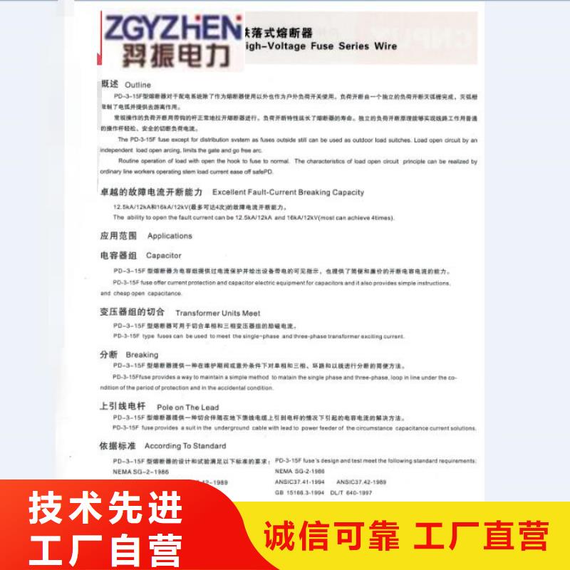 【高壓熔斷器】RW12-10/100A
