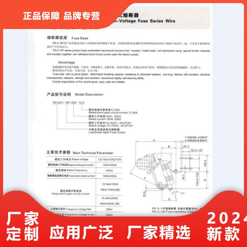 -跌落式開關/RW12-24/200A