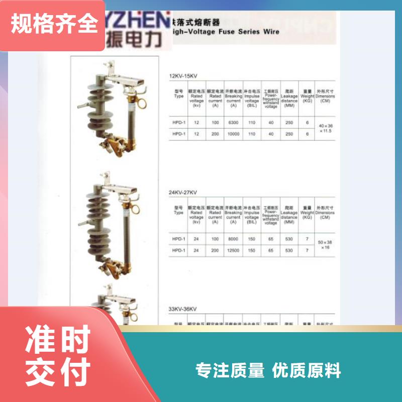 高壓熔斷器/RW3-63/100A
