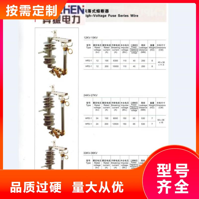 跌落式熔斷器RW5-40.5-100A