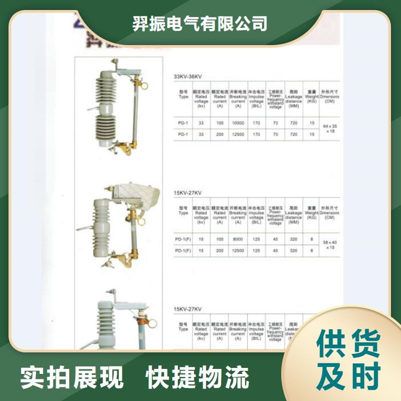 【跌落式熔斷器】HRW12-10/100A浙江羿振電氣有限公司
