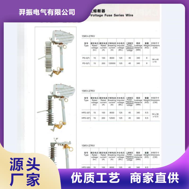 交流熔斷器/AC20kV/100A/跌落式/瓷質