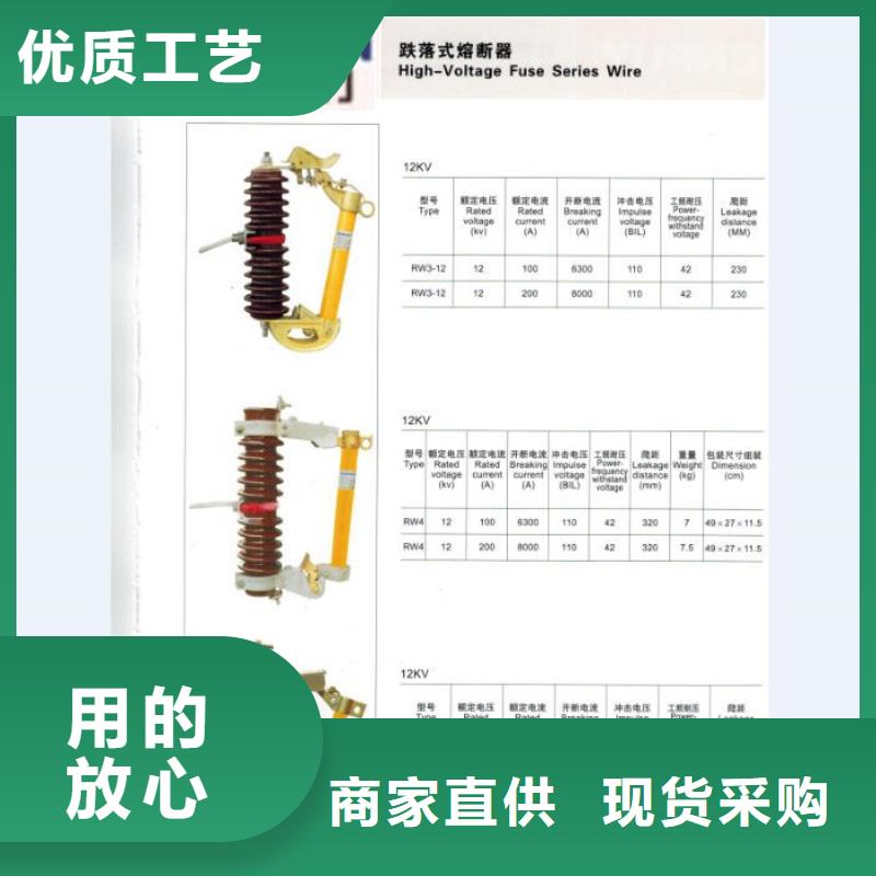 【跌落式开关/令克】RW12-15F/100A