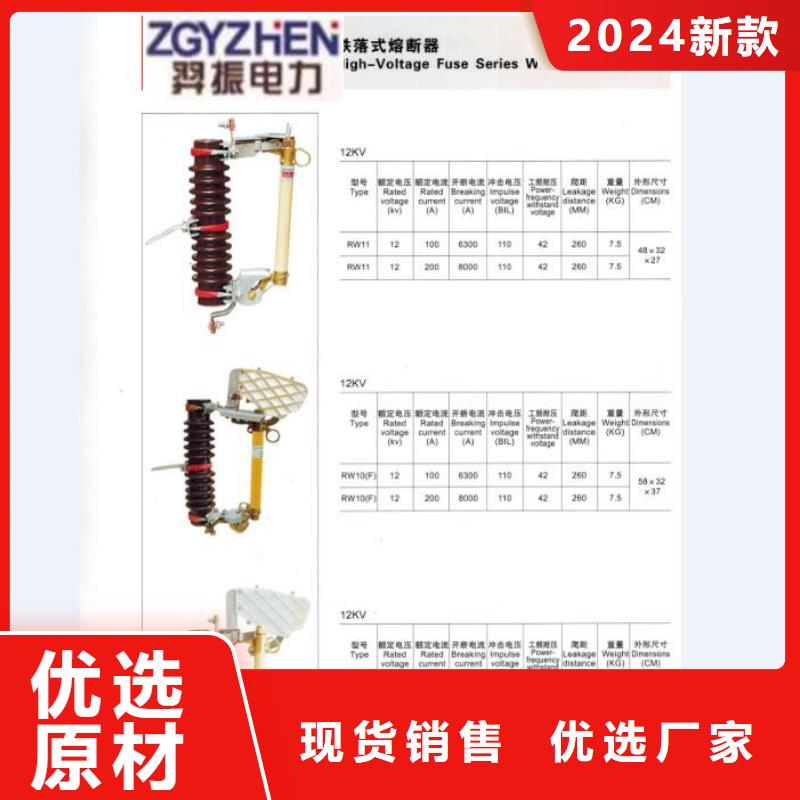 66KV跌落式熔斷器RW3-63/200A