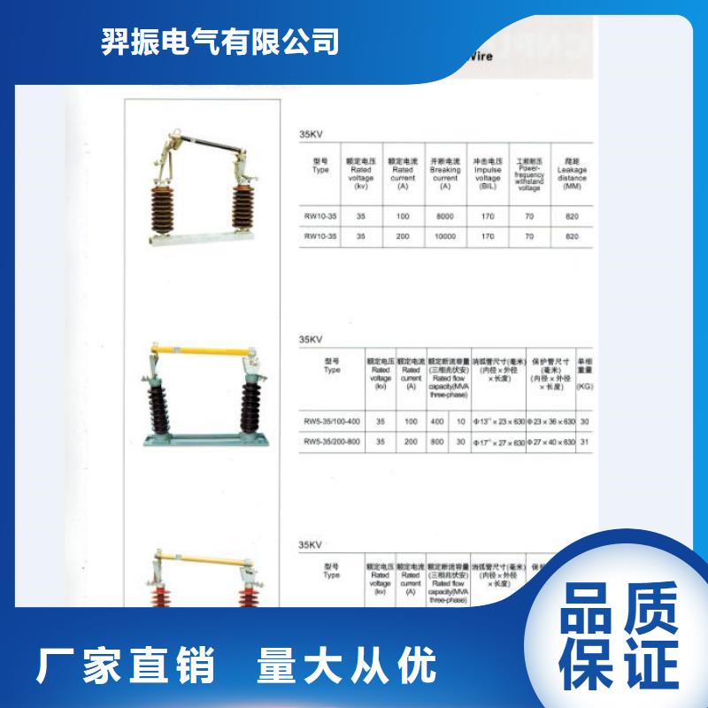 跌落開關(guān)/跌落式熔斷器HFRN2-35/100