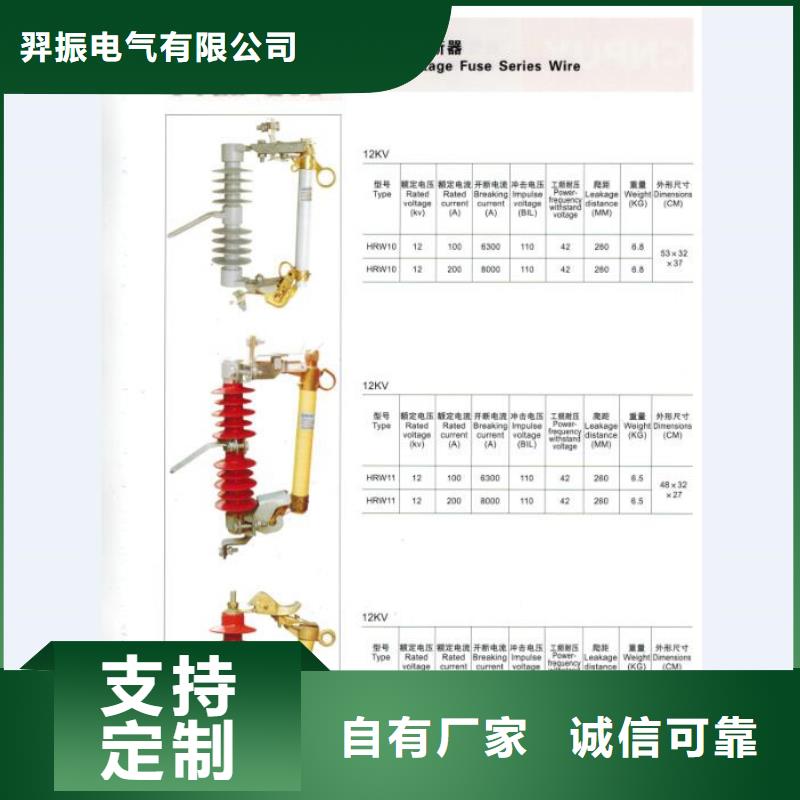 高壓熔斷器/KBB-12/100A
