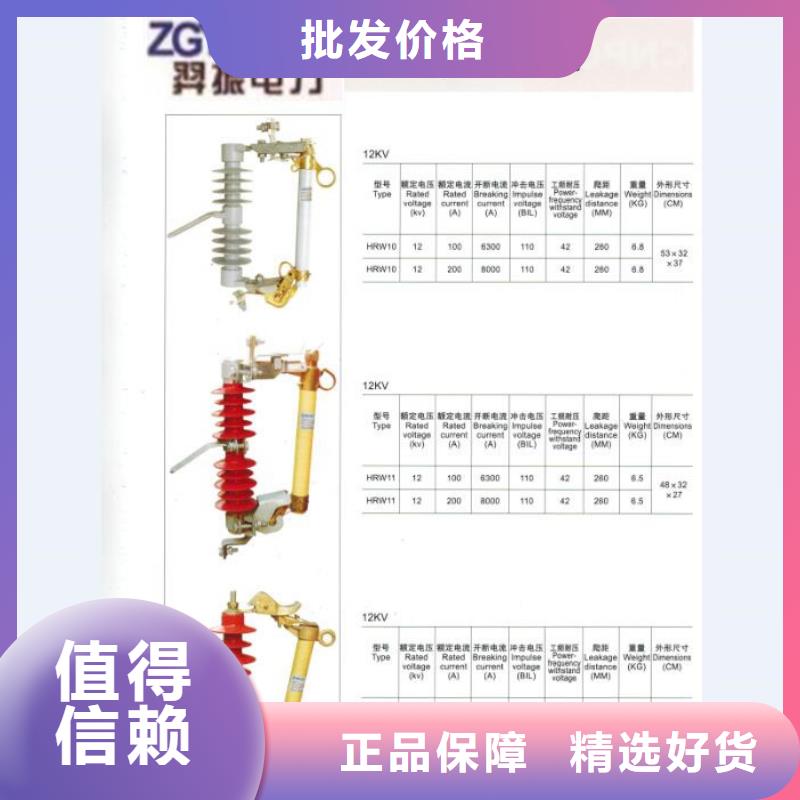 熔断器绝缘子厂家买的放心安兴用的舒心