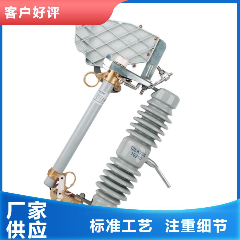 跌落式熔斷器RW11F-12/200A