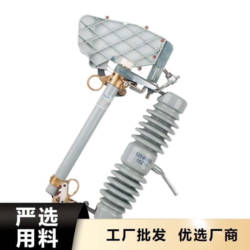 熔断器,绝缘子细节展示