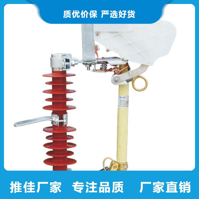 熔断器,绝缘子细节展示