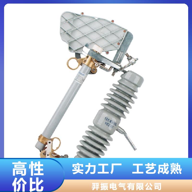 戶外高壓跌落式熔斷器熔絲具HRW12-10/100A