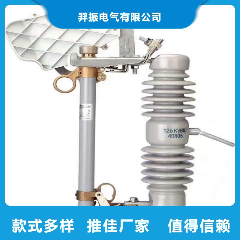 熔断器 隔离开关厂家质保一年