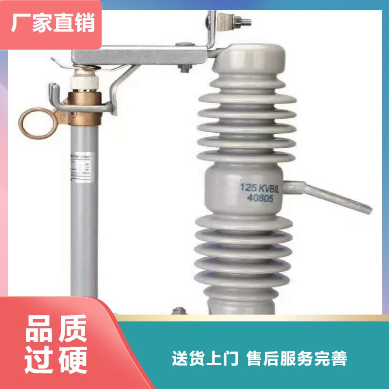 【高壓熔斷器】RW12-10/100A