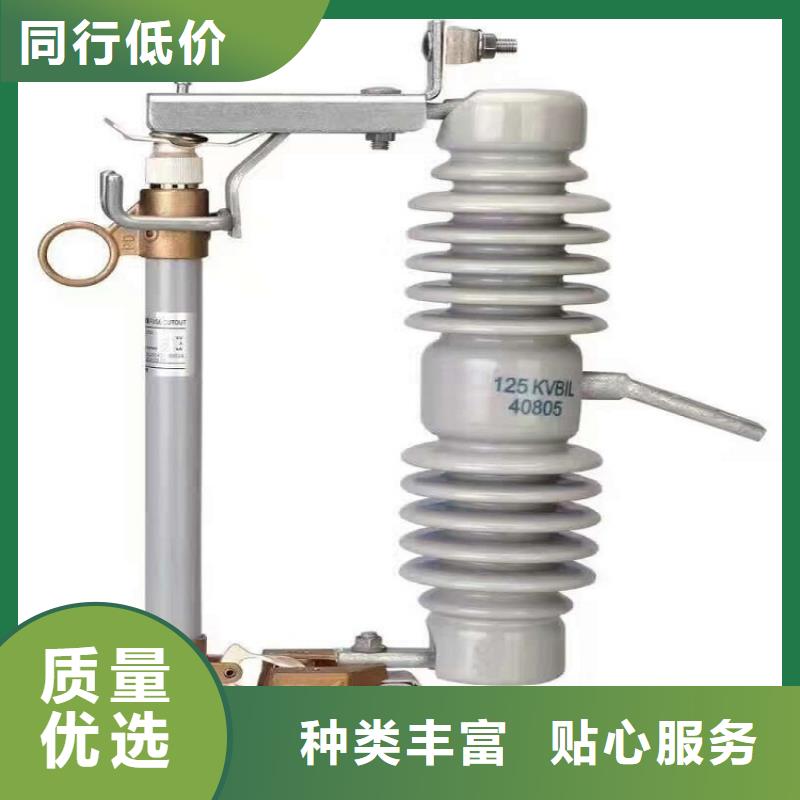 熔斷器真空斷路器源頭工廠