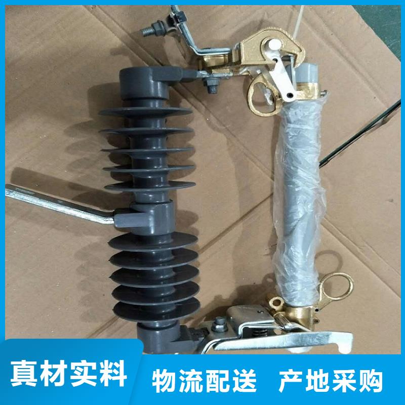 高壓熔斷器/RW12-15/100A