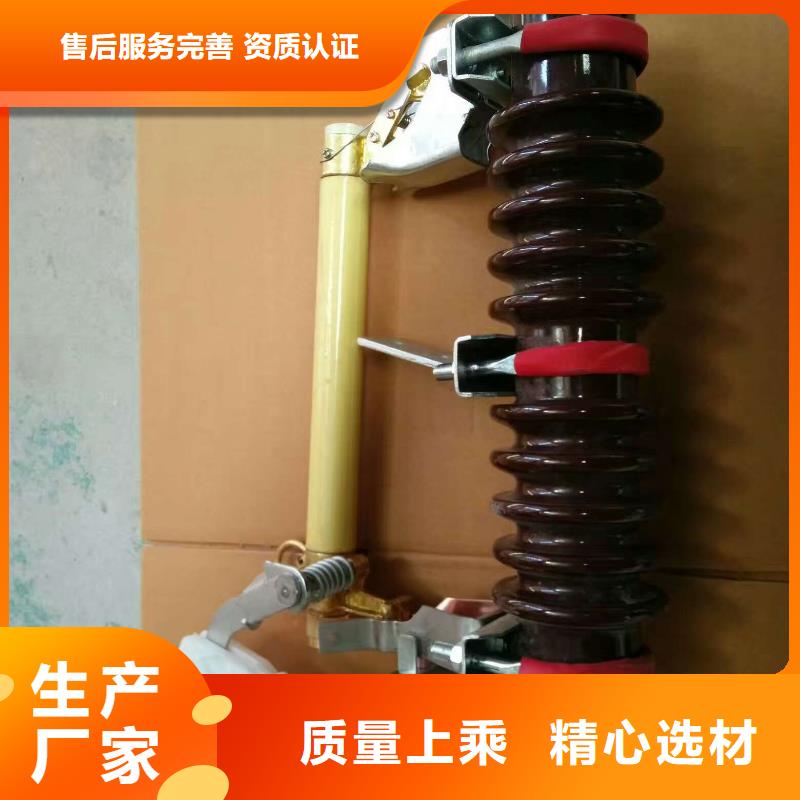 高壓熔斷器/RW12-15/100A
